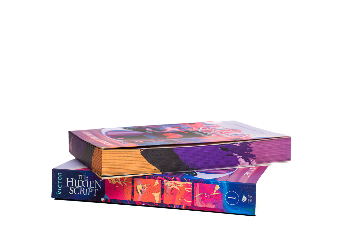 Enter the Kingdom Limited Edition Paperback